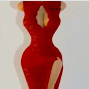 SHEIN Red Backless Lace Dress